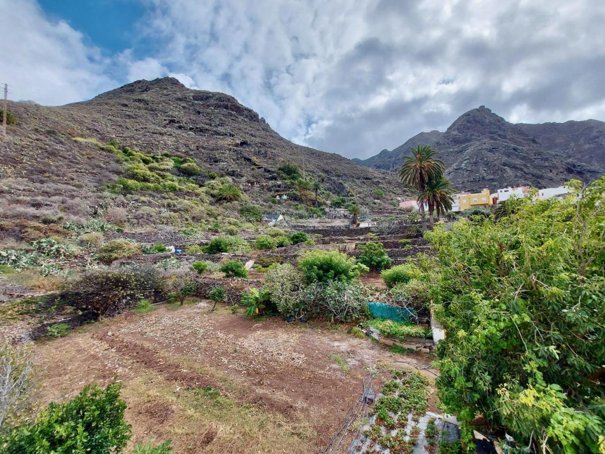 Appartamento Casa Ana Con Jardin Punta Del Hidalgo Esterno foto